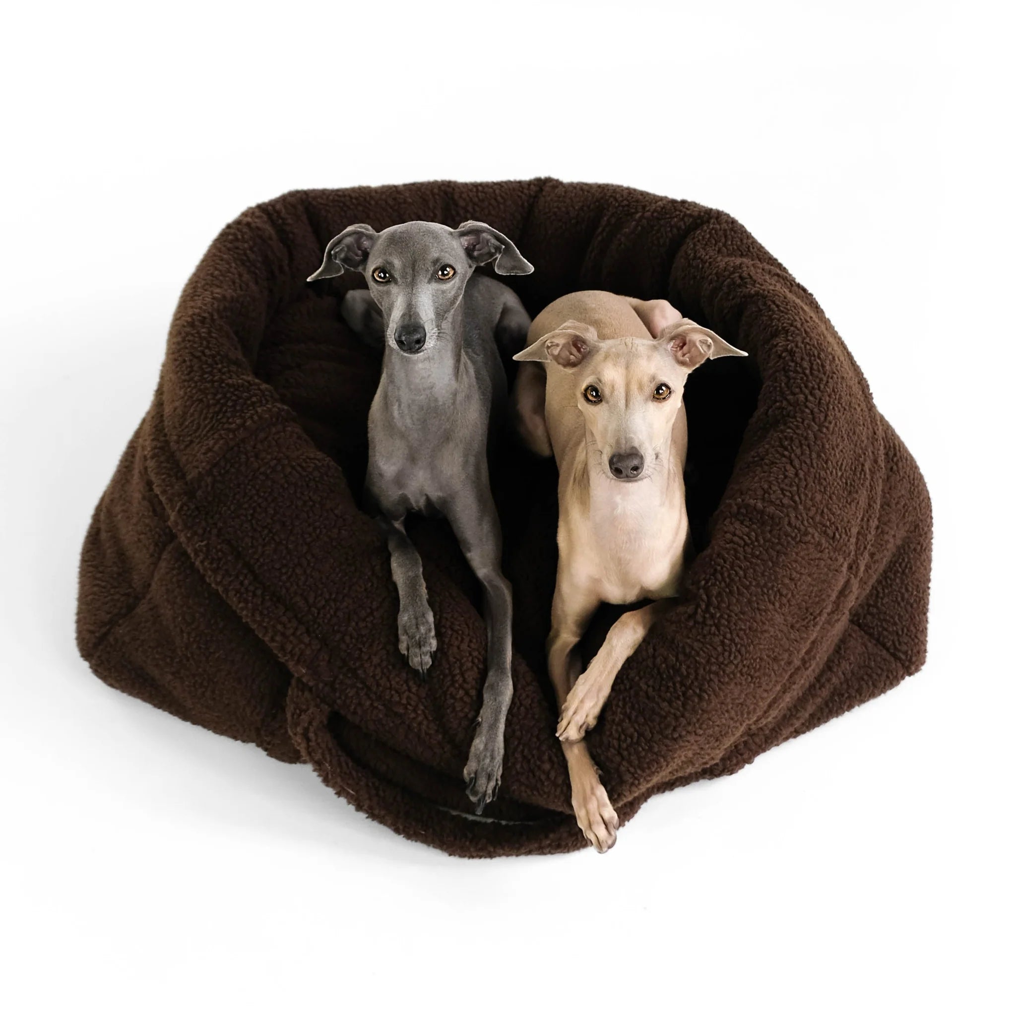 Karma-Hund-Teddy-Shopper-Brown-Large-Hunde3