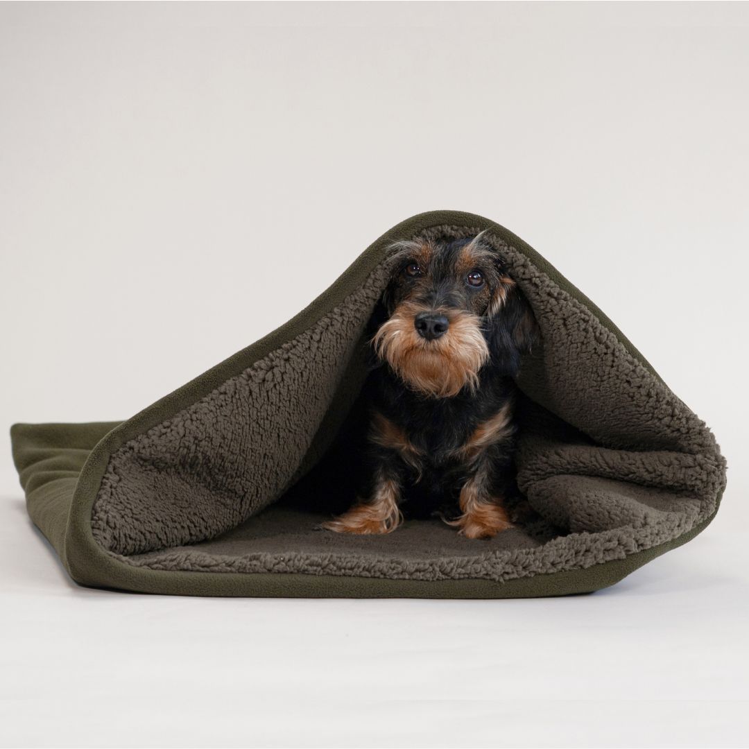 Karma-Hund-Woofstuff-Teddy-Kuschelschlafsack-Olive-Hund2