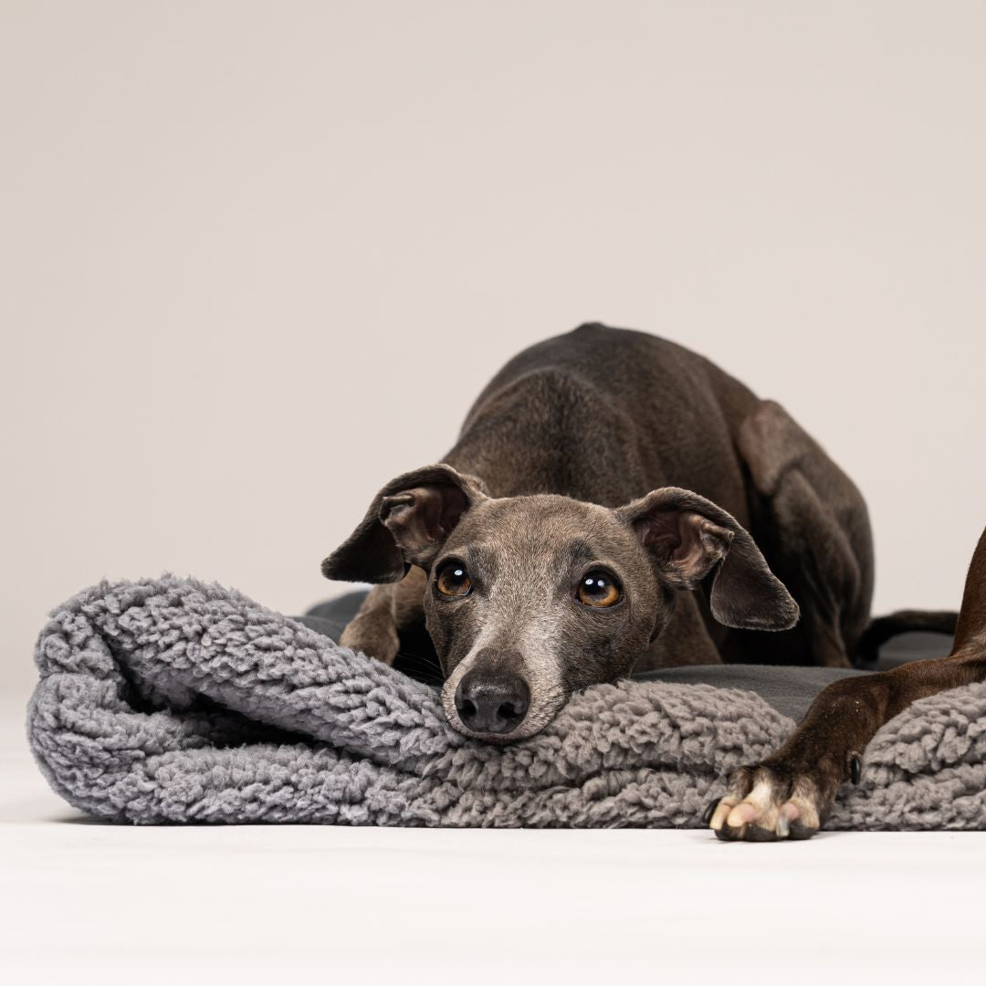 Karma-Hund-Woofstuff-Teddy-Kuschelschlafsack-Stone-Grey-Hund4