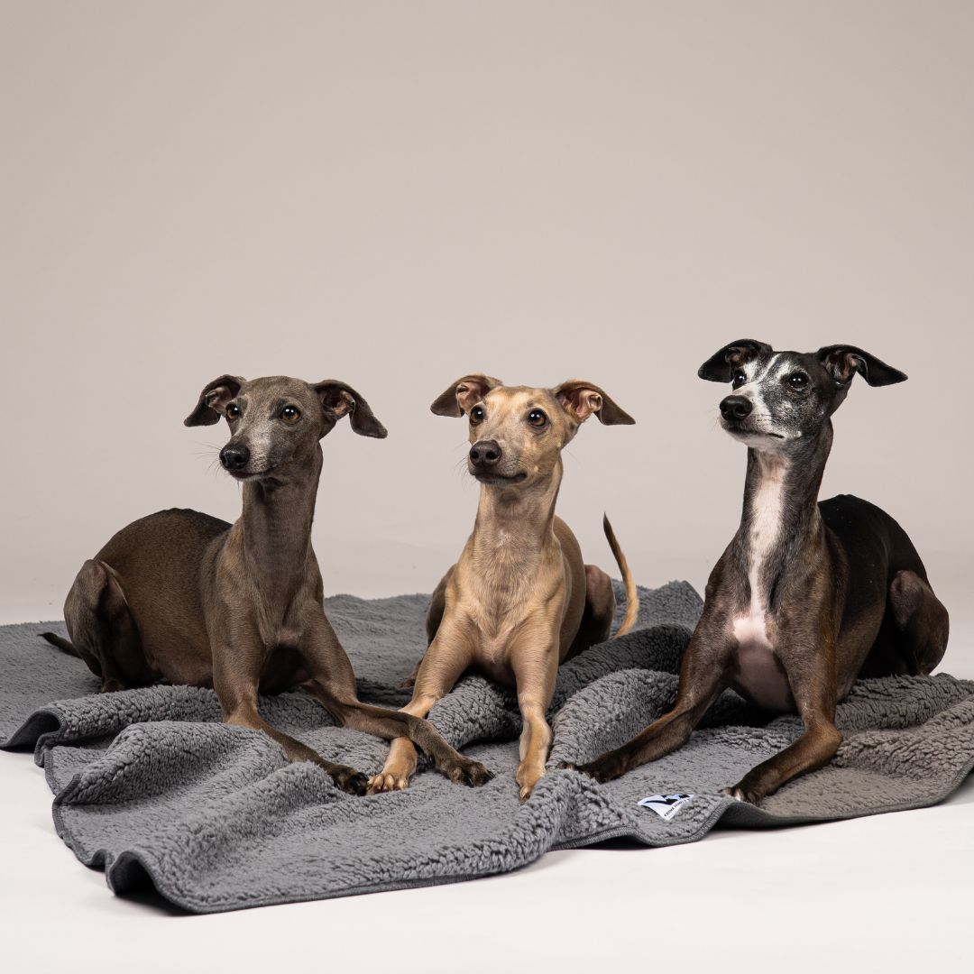 Karma-Hund-x-Woofstuff-Hundedecke-Double-Grey-Hund3