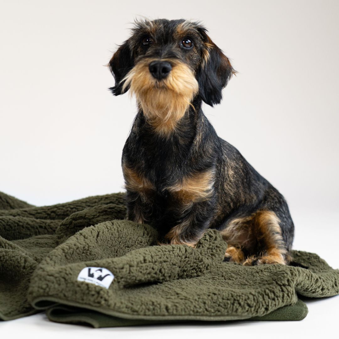 Karma-Hund-x-Woofstuff-Hundedecke-Double-Olive-Hund3