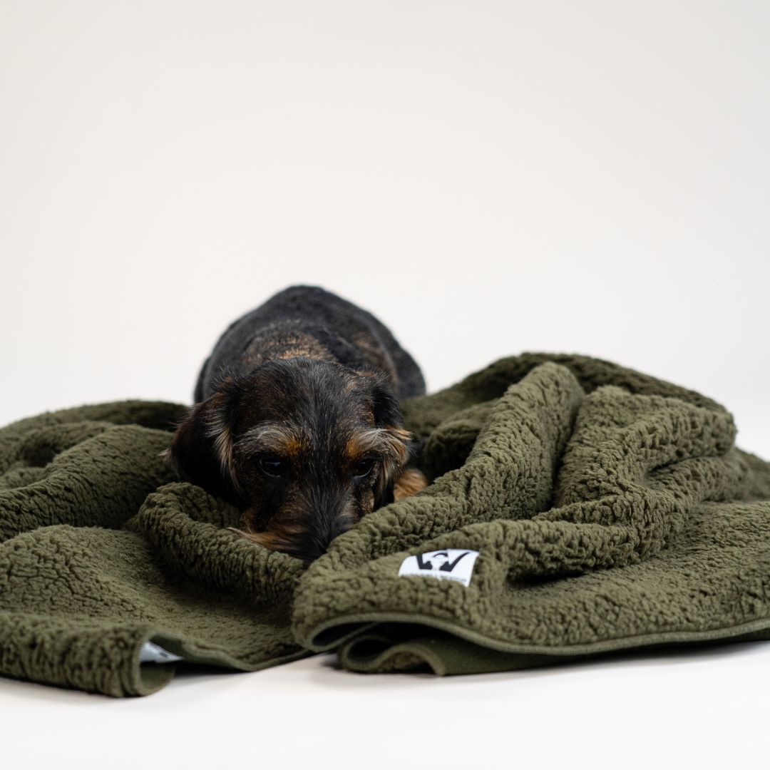 Karma-Hund-x-Woofstuff-Hundedecke-Double-Olive-Hund5