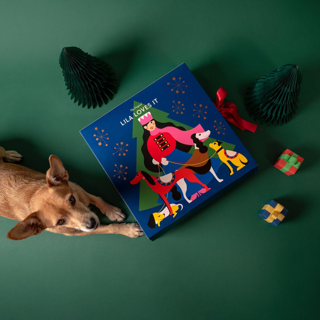 LILA-LOVES-IT-Adventskalender-2025-Mood3