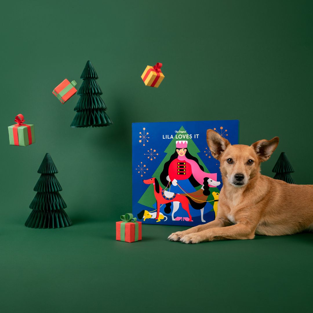LILA-LOVES-IT-Adventskalender-2025-Mood4