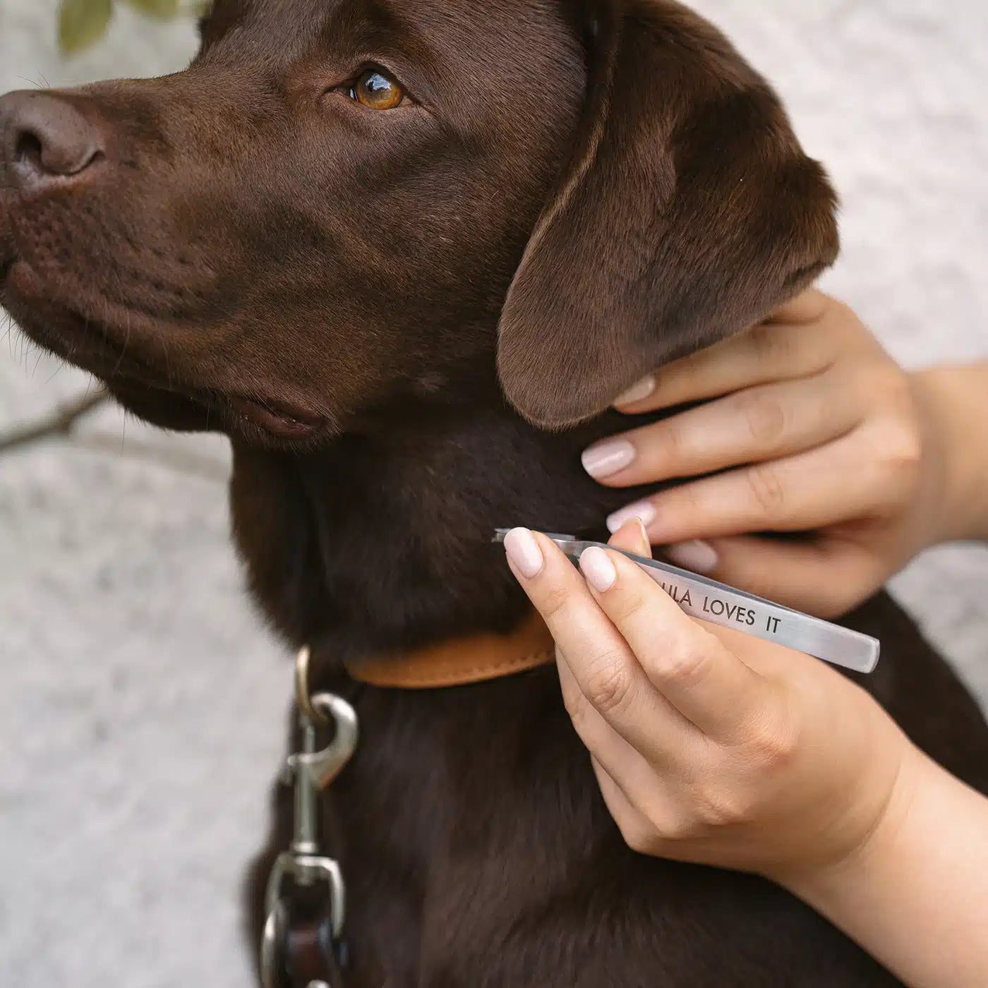 LILA-LOVES-IT-Zeckenzange-Mood