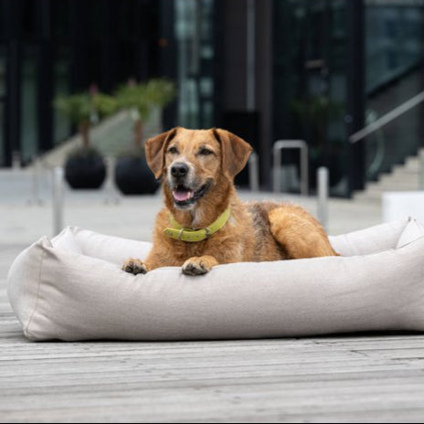 Laboni-Classic-Hundebett-Smooth-Lino-Hund