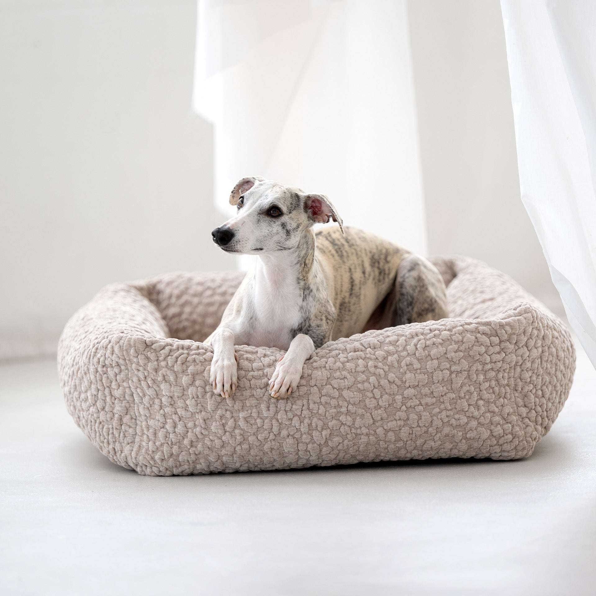Laboni-Hundebett-Bellagio-Mood-3