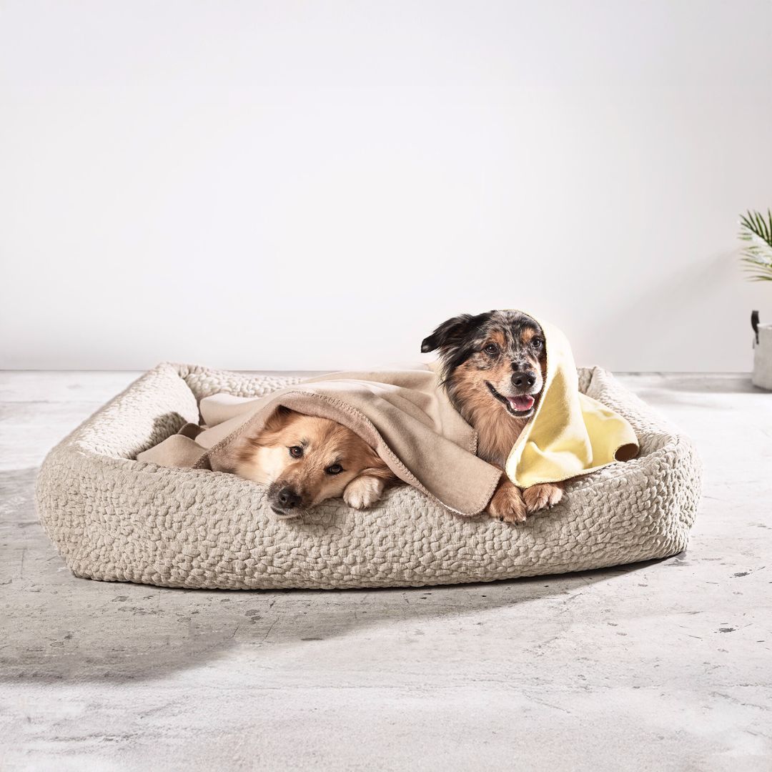 Laboni-Hundebett-Bellagio-Mood-4