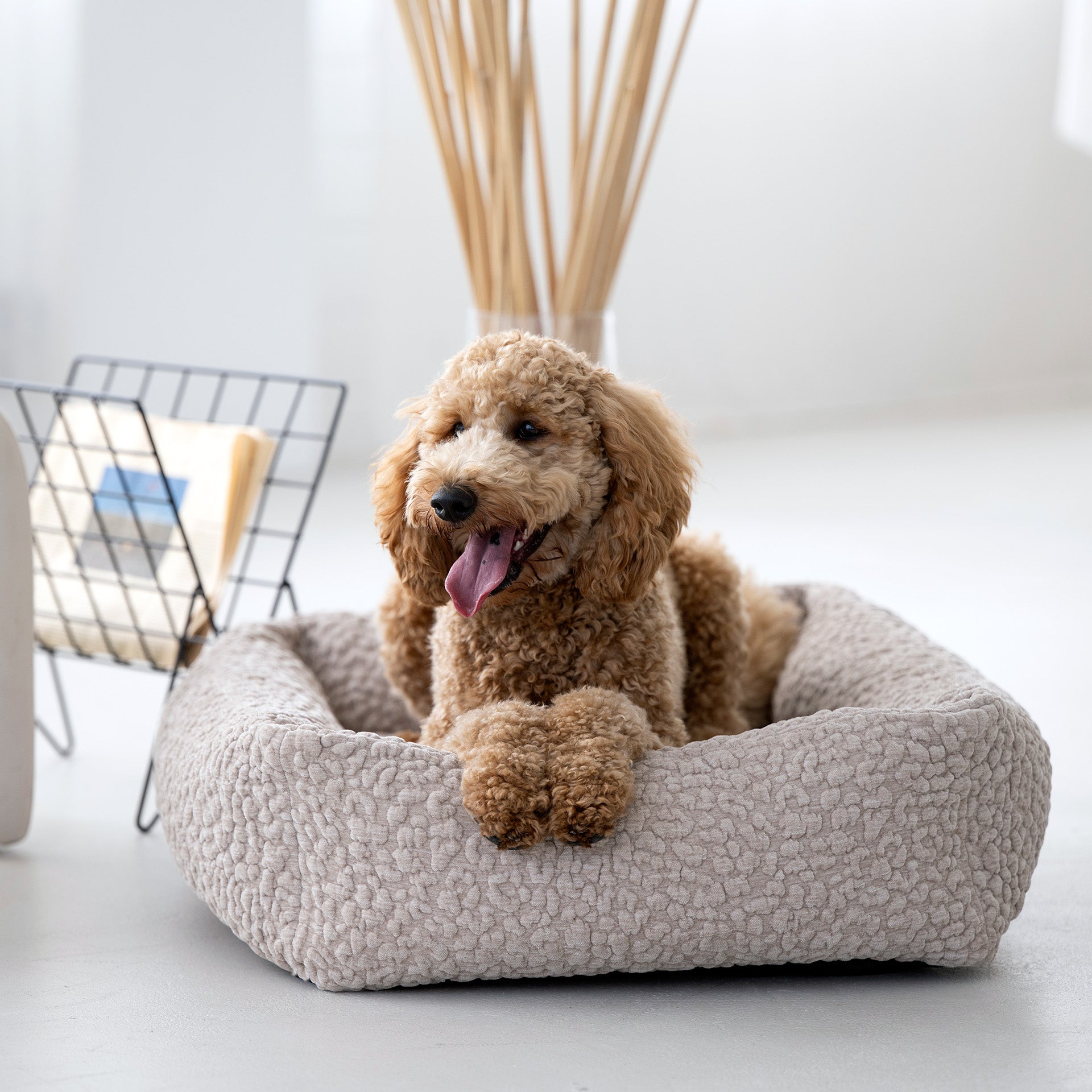 Laboni-Hundebett-Bellagio-Mood-6