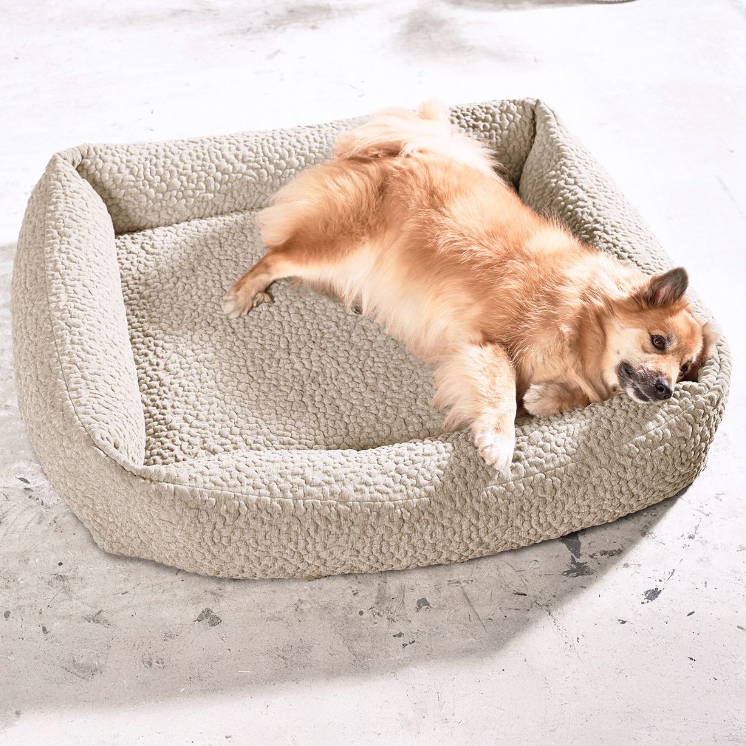 Laboni-Hundebett-Bellagio-Mood-7