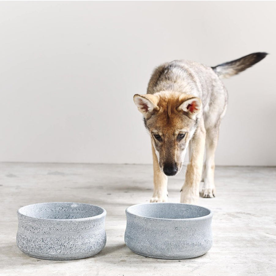 Laboni-Hundenapf-Rocky-L-Hund