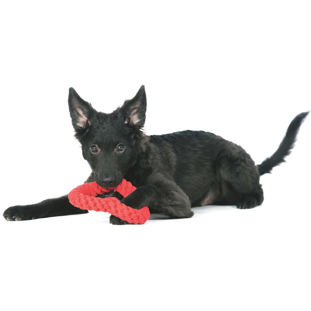 Laboni-Hundespielzeug-Mini-Heart-Hund