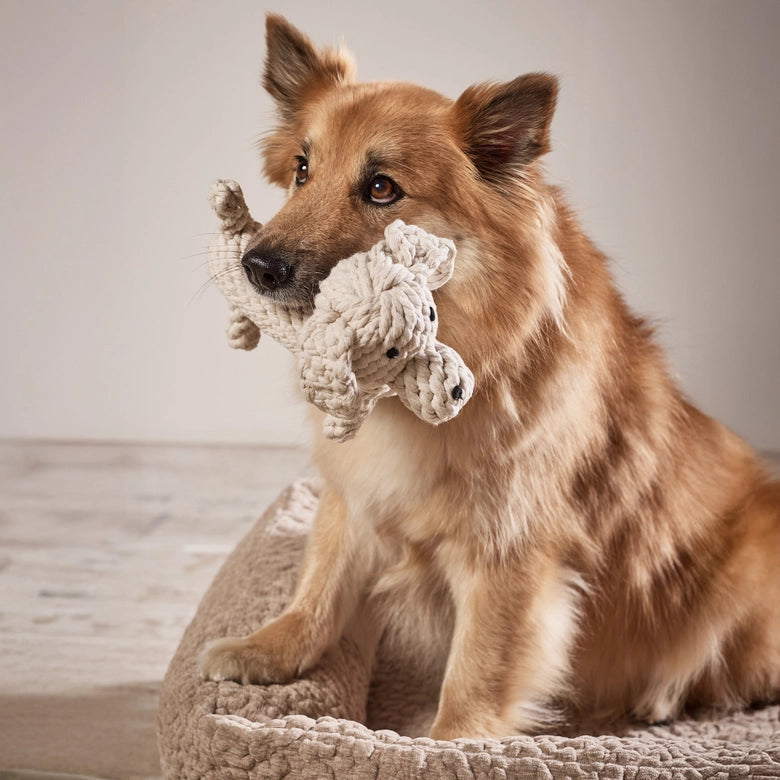 Laboni-Hundespielzeug-Richie-Retriever-5