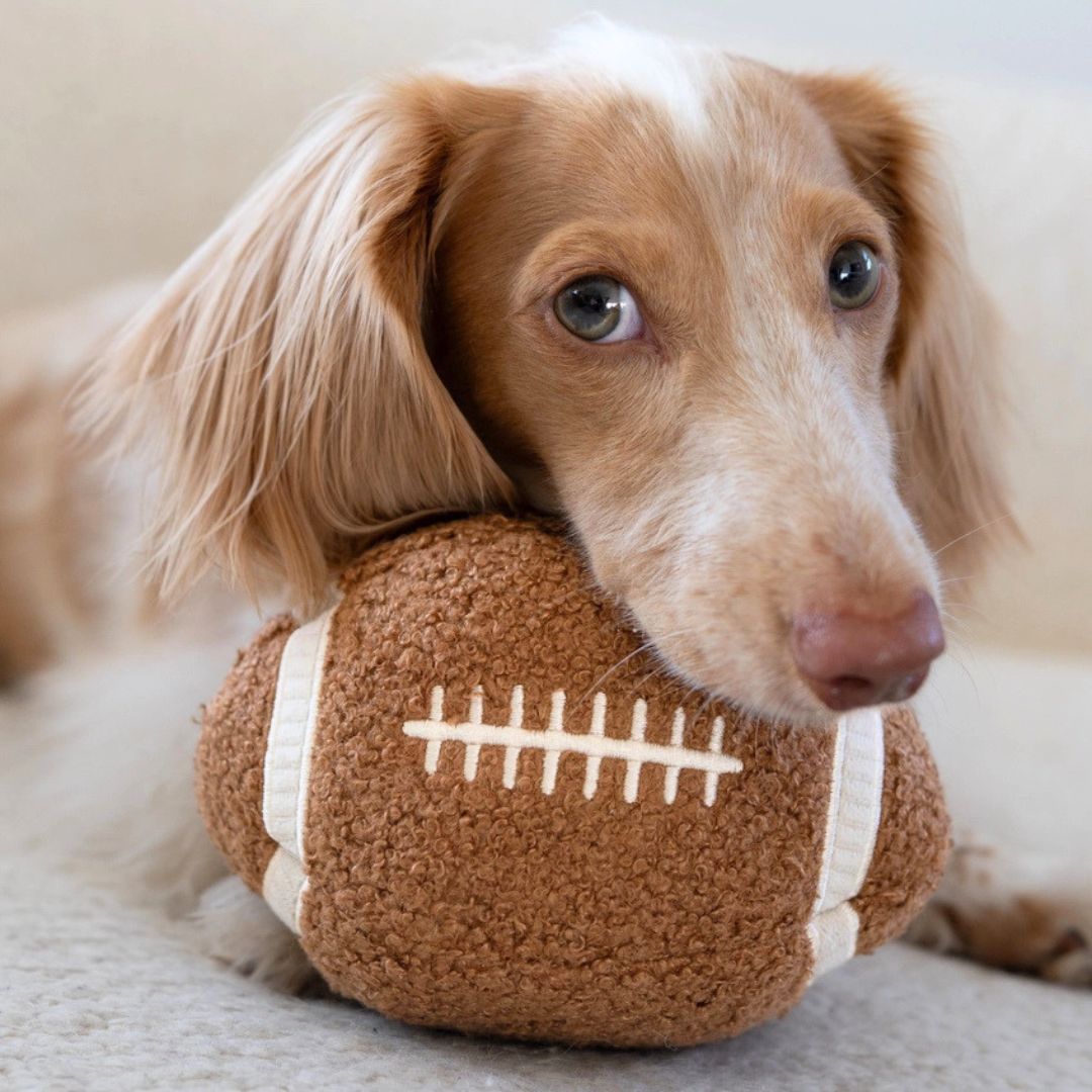 Lambwolf-Hundespielzeug-Football-2