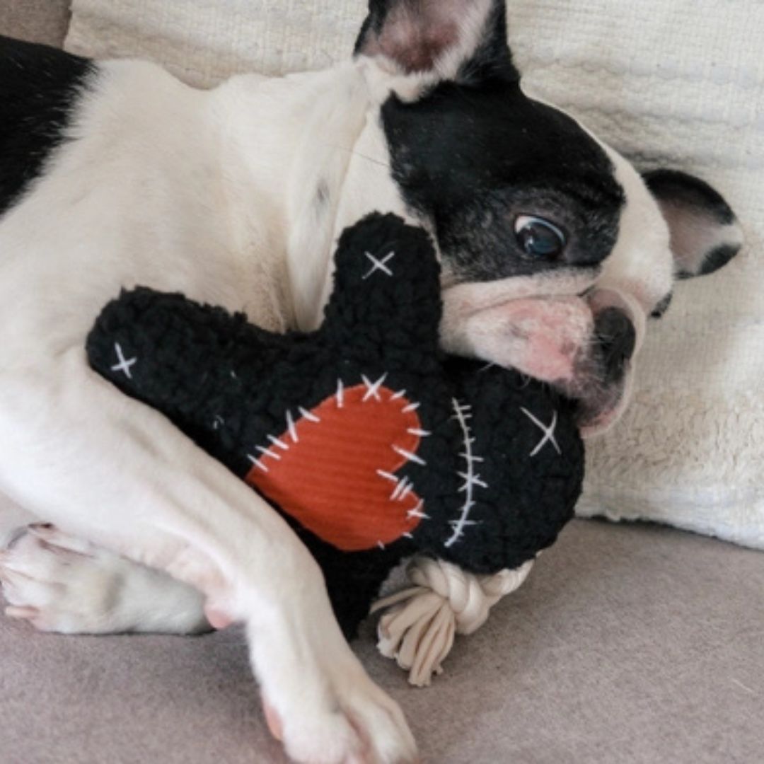 Lambwolf-Hundespielzeug-Halloween-Voodoo-3