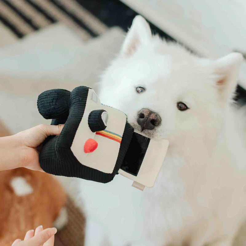 Lambwolf-Hundespielzeug-Sofortbildkamera-Hund