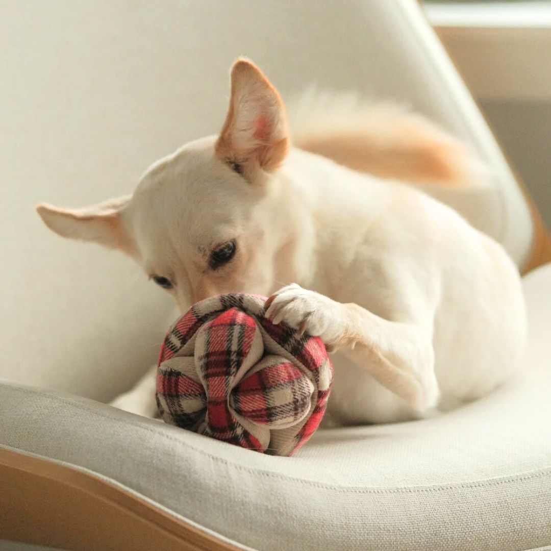 Lambwolf-Schnüffelball-Monti-Flanell-Xmas-Hund2