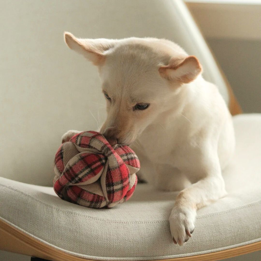 Lambwolf-Schnüffelball-Monti-Flanell-Xmas-Hund3