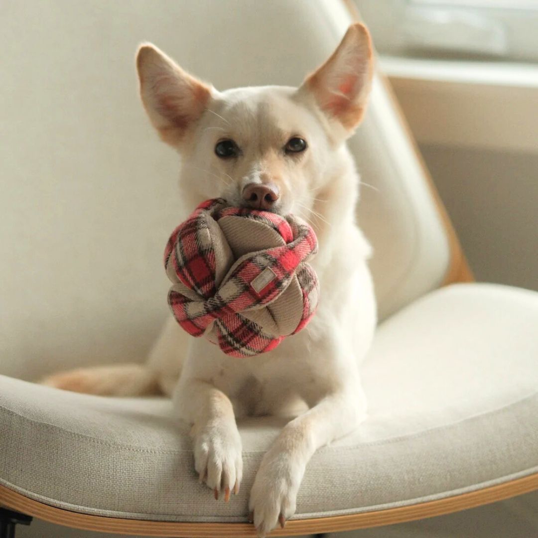 Lambwolf-Schnüffelball-Monti-Flanell-Xmas-Hund4