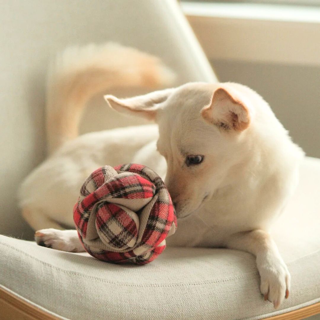 Lambwolf-Schnüffelball-Monti-Flanell-Xmas-Hund5