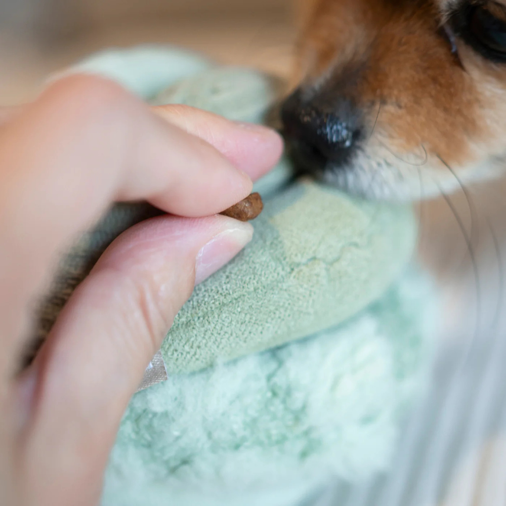 Lambwolf-Schnüffelspielzeug-Schnüffelball-Toto-Green-Detail