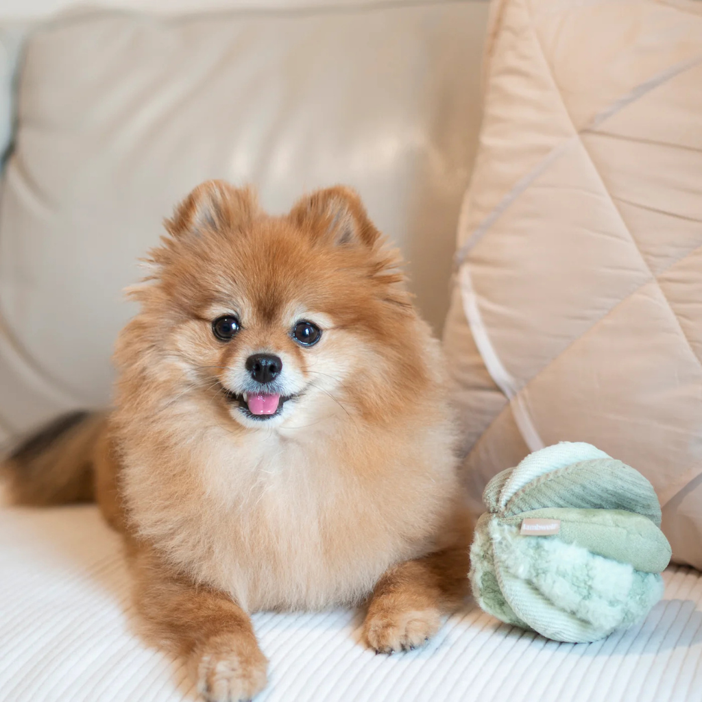 Lambwolf-Schnüffelspielzeug-Schnüffelball-Toto-Green-Mood2