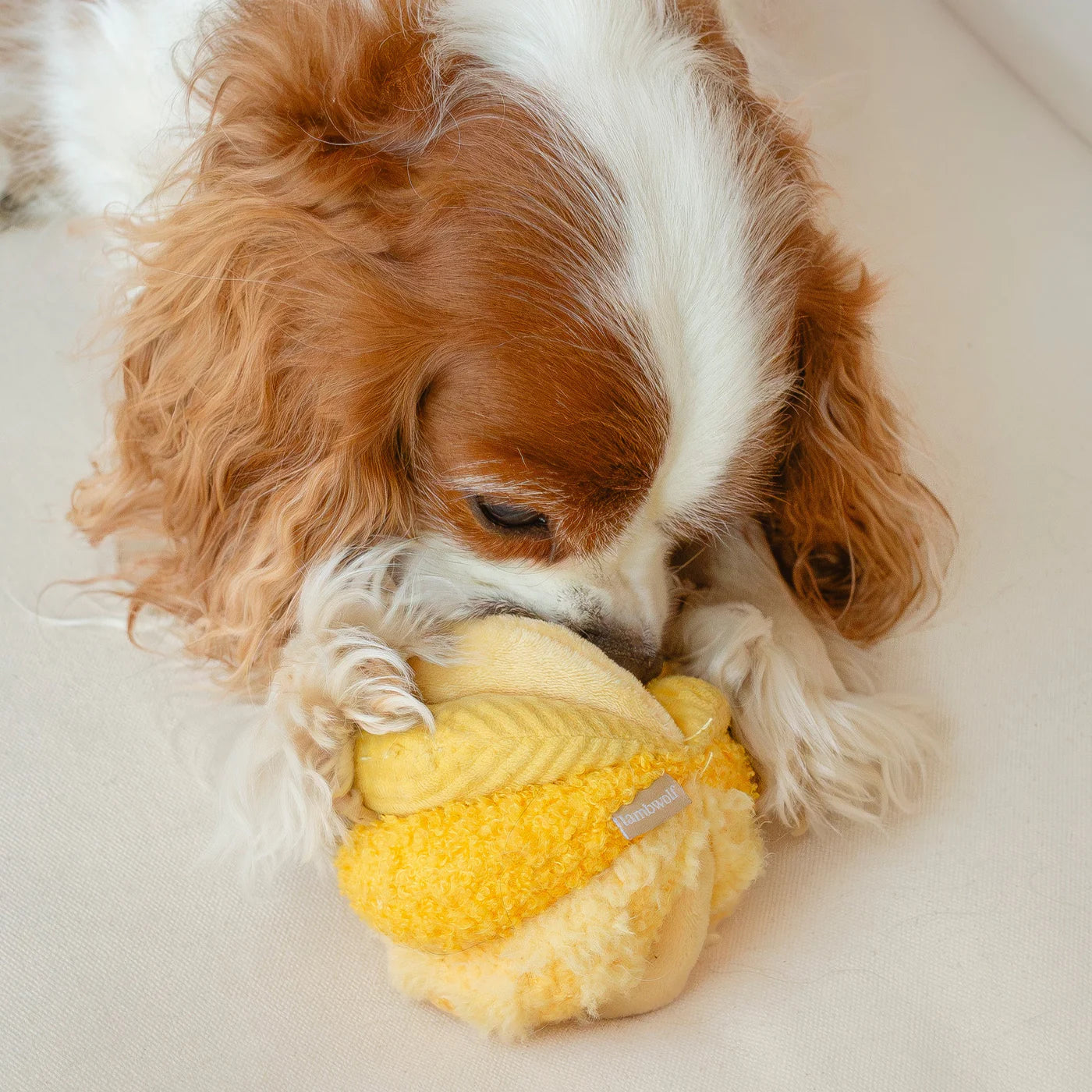Lambwolf-Schnüffelspielzeug-Schnüffelball-Toto-Yellow-Mood2