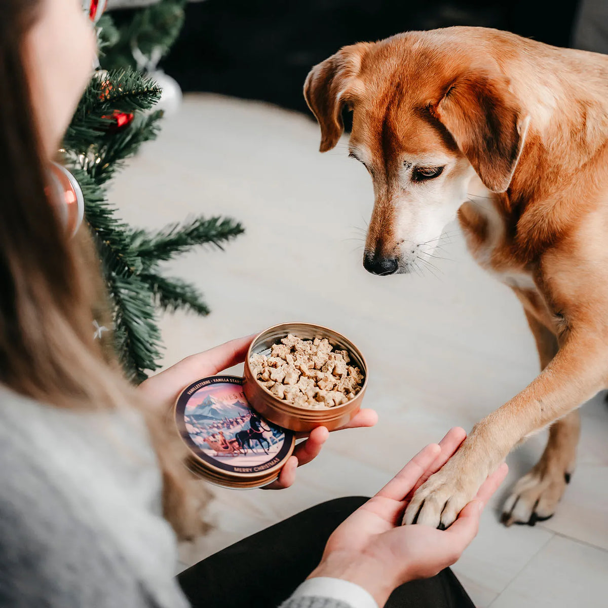 Lila-Loves-It-Weihnachts-Goodies-Vanillesterne-Mood-3