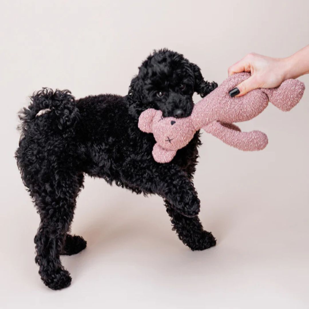 Lillabel-Hundespielzeug-Berty-Bear-Dusty-Pink-Mood