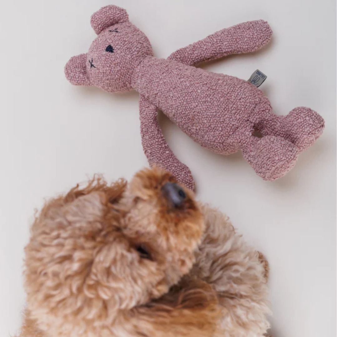 Lillabel-Hundespielzeug-Berty-Bear-Dusty-Pink-Mood2