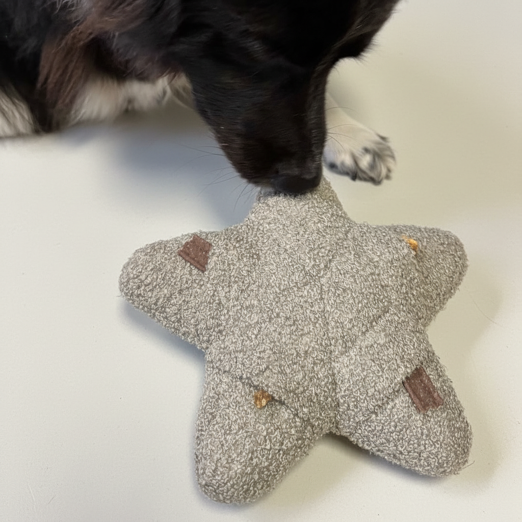 Lillabel-Woofstuff-Schnueffelstern-Mood3