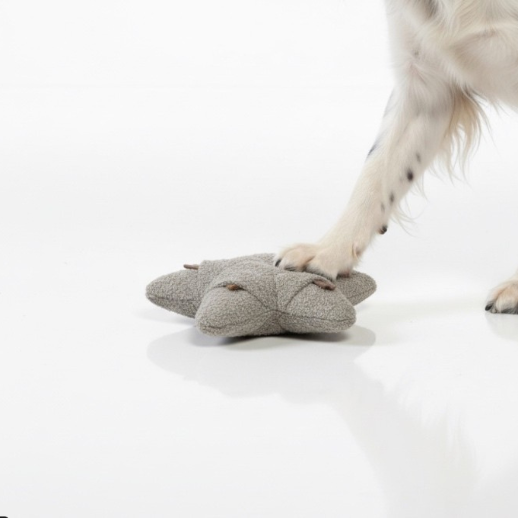 Lillabel-Woofstuff-Schnueffelstern-Taupe-Mood