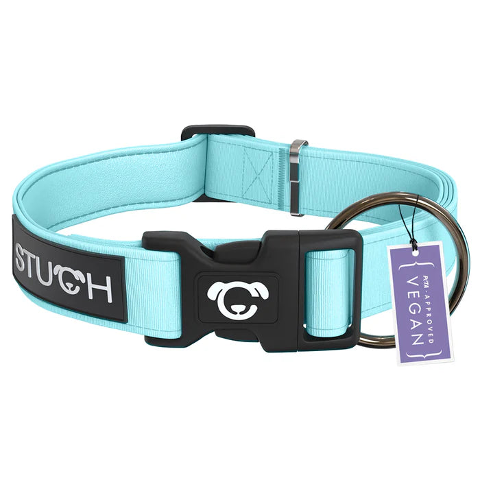 Stuch-gepolstertes-Hundehalsband-Türkis