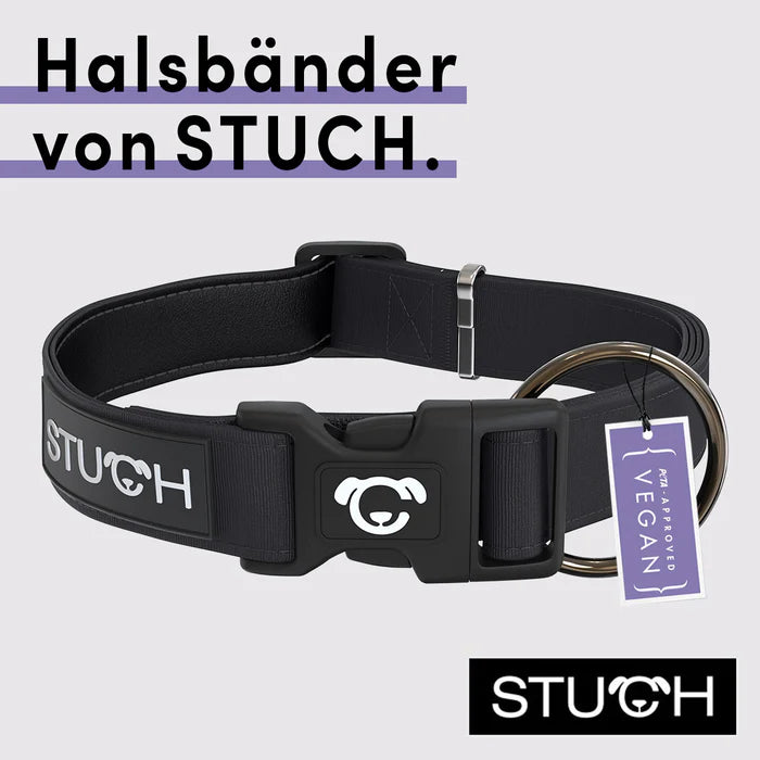 Stuch-gepolstertes-Hundehalsband-Schwarz-Info
