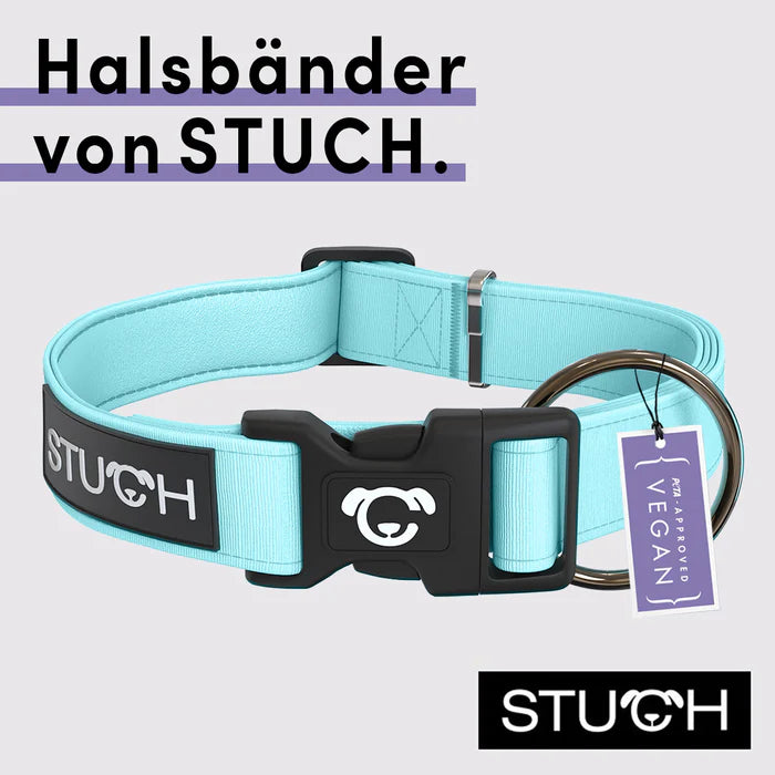 Stuch-gepolstertes-Hundehalsband-Türkis-Info