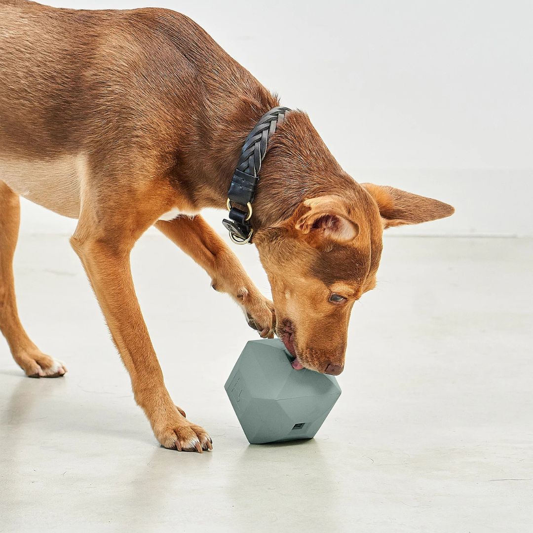 MiaCara-Beschäftigungsspielzeug-Dado-Eucalyptus-Mood2