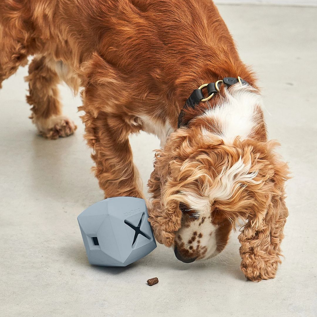 MiaCara-Beschäftigungsspielzeug-Dado-Himmel-Mood