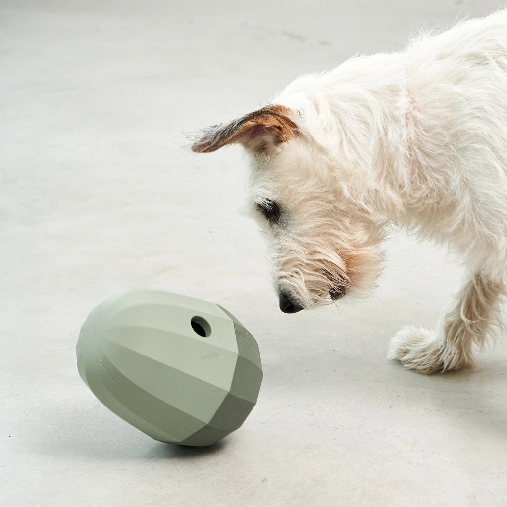 MiaCara-Beschäftigungsspielzeug-Uovo-Mood2