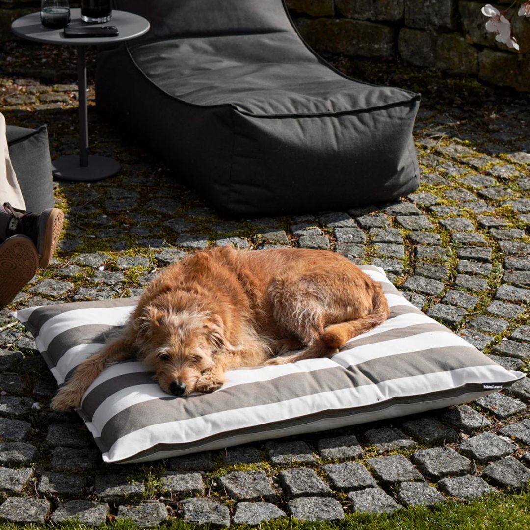 MiaCara-Giardino-Hundekissen-Outdoor-OffWhite-Taupe-Hund-2