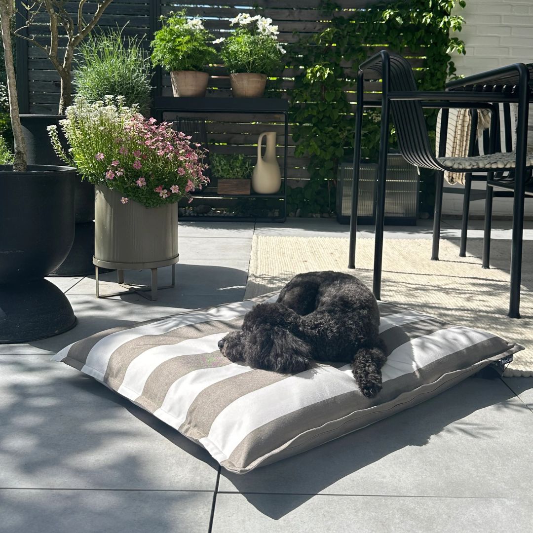 MiaCara-Giardino-Hundekissen-Outdoor-OffWhite-Taupe-Hund