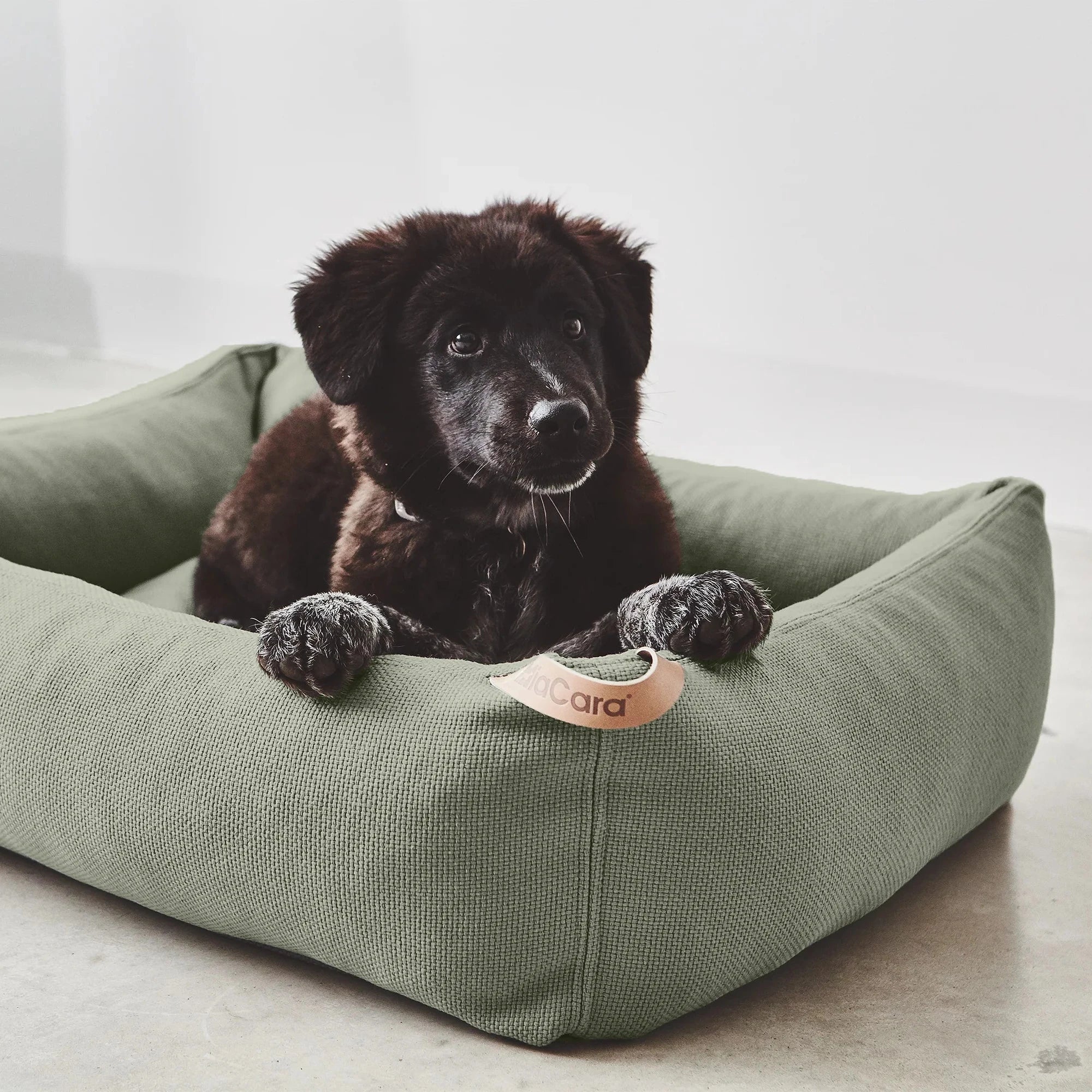 MiaCara-Hundebett-Sonno-Grolive-Mood
