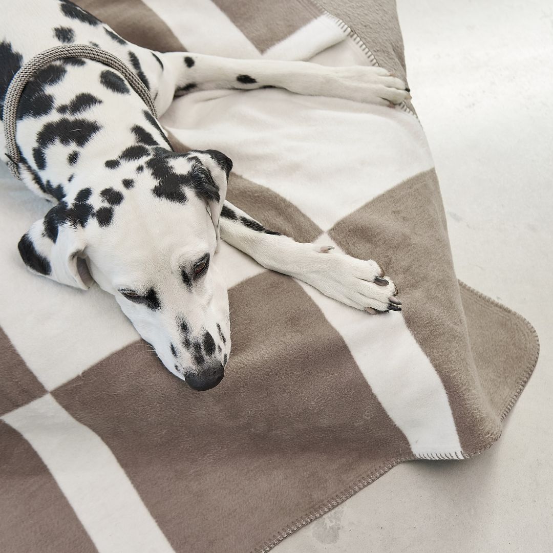 MiaCara-Hundedecke-Blocco-Taupe-Natur-Hund2