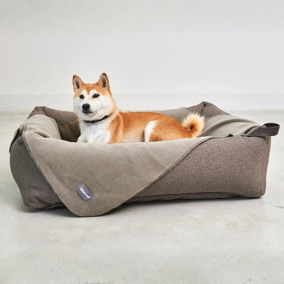 MiaCara-Hundedecke-Unica-Kakao-4