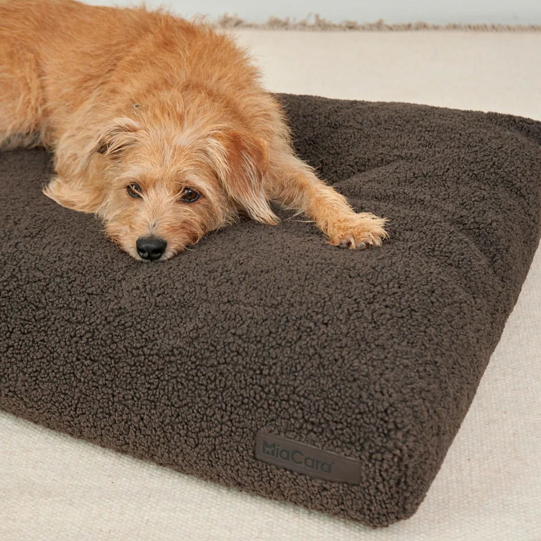 MiaCara-Hundekissen-Senso-Schokolade-Mood