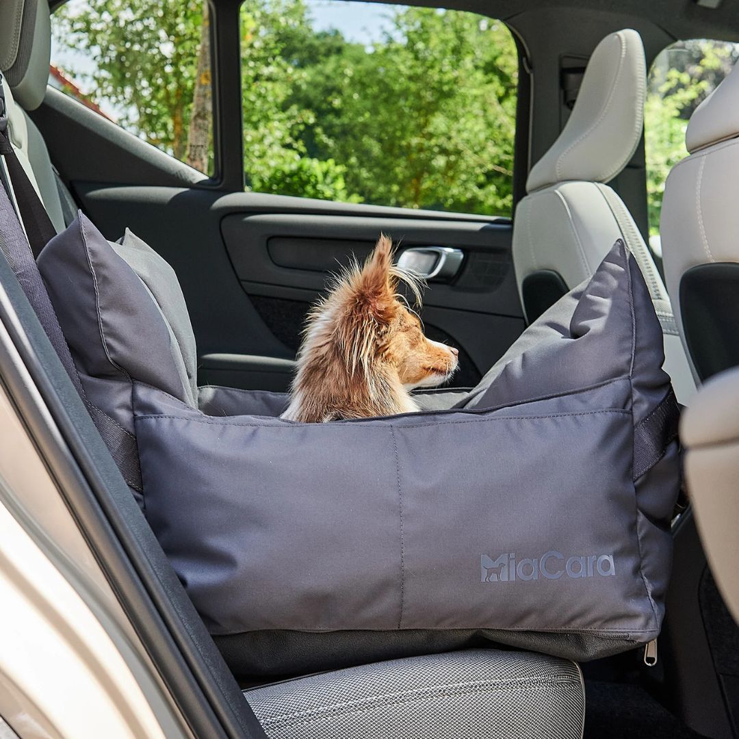 MiaCara-Hundereisebett-Viaggio-Asphalt-Hund