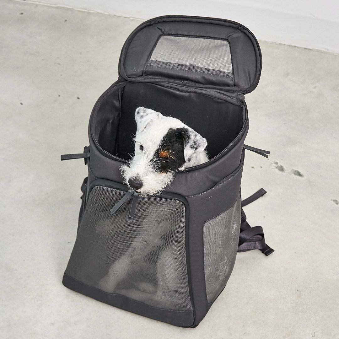 MiaCara-Hunderucksack-Zaino-Hund2