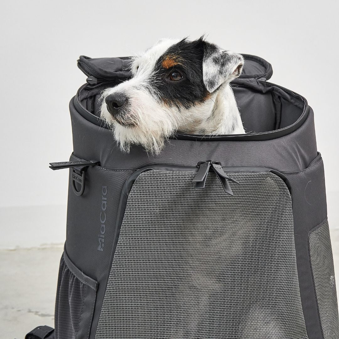MiaCara-Hunderucksack-Zaino-Hund3