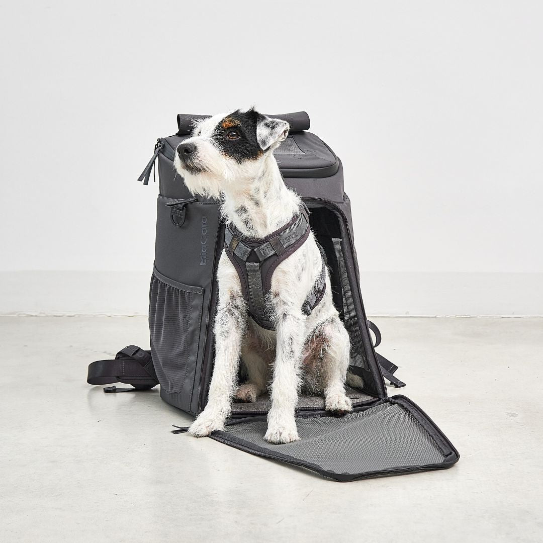 MiaCara-Hunderucksack-Zaino-Hund4