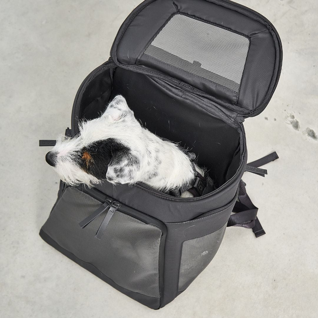 MiaCara-Hunderucksack-Zaino-Hund6