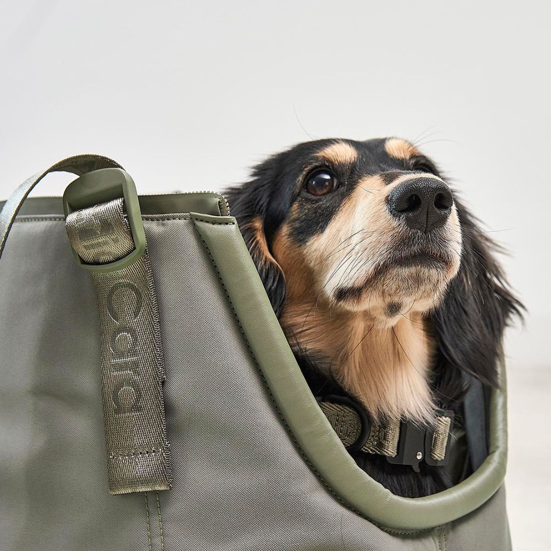 MiaCara-Hundetragetasche-Sporta-Grolive-Detail